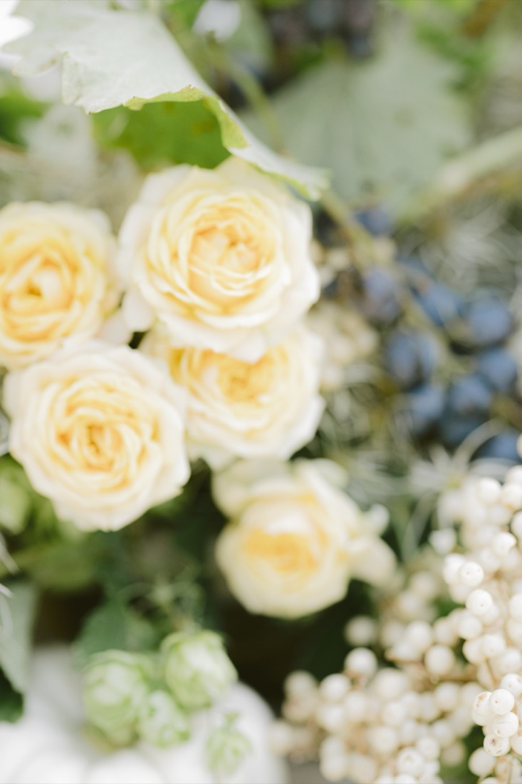 Close-up of cream garden roses with privet berries and white snowberries